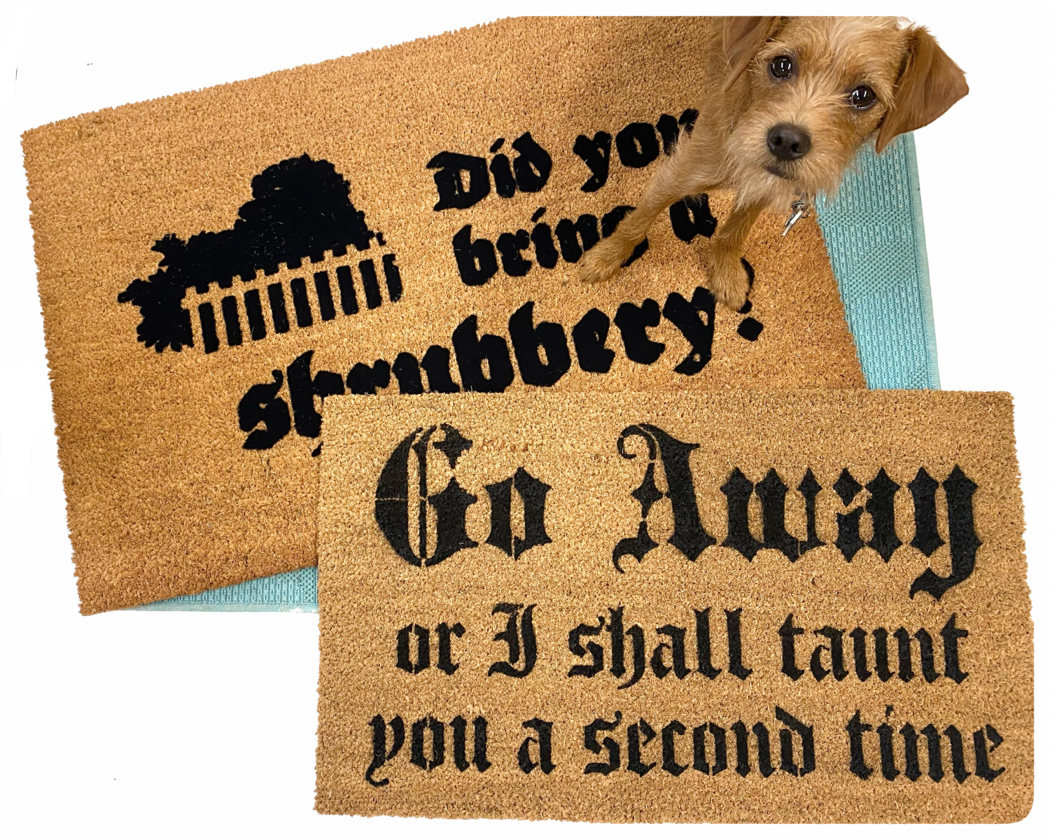 COIR DOORMAT READING GO AWAY OR AI SHALL TAUNT YOU AGAIN AND DID YOU BRINGA. SHRUBBERY FROM MONTY PYTHON 